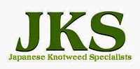 Japanese Knotweed Specialists 1110420 Image 4
