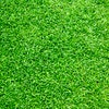 Artificial Grass Edinburgh avatar