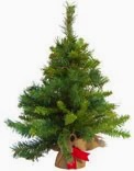 Artificial Christmas Tree Supplier, Order Online. Silk Plants and Flowers Shop 1125267 Image 6