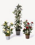 Artificial Christmas Tree Supplier, Order Online. Silk Plants and Flowers Shop 1125267 Image 8