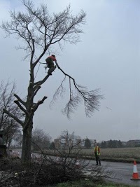 Coquet Tree Services 1127356 Image 0