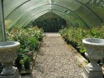 Erpingham Nursery 1126915 Image 0