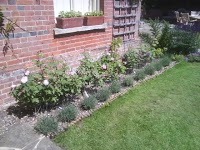 Eugenes Greenscene gardening services 1108987 Image 1