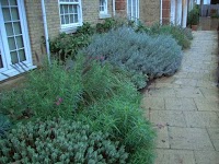 Garden Thyme Ltd 1131390 Image 2