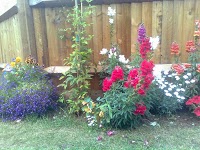 Gorgeous Gardens 1114598 Image 0