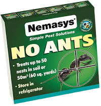 Nematodes Direct 1117407 Image 5