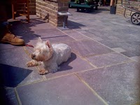 Prem pave Ltd   Paving Slabs Supplier 1127063 Image 4