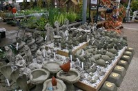 Squires Garden Centre 1116293 Image 4