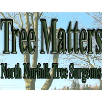 Tree Matters 1127380 Image 5