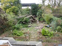 Tree Work Solutions Ltd 1115619 Image 4