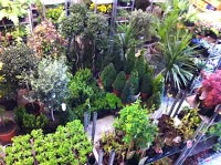 Wensleydale Garden Centre 1105110 Image 1