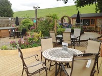 Wraysbury Garden Centre 1126530 Image 6